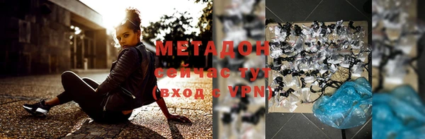 прущие грибы Зеленодольск