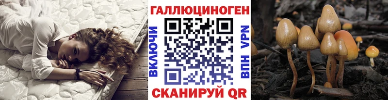 Псилоцибиновые грибы MAGIC MUSHROOMS  Купить где  Рузаевка 
